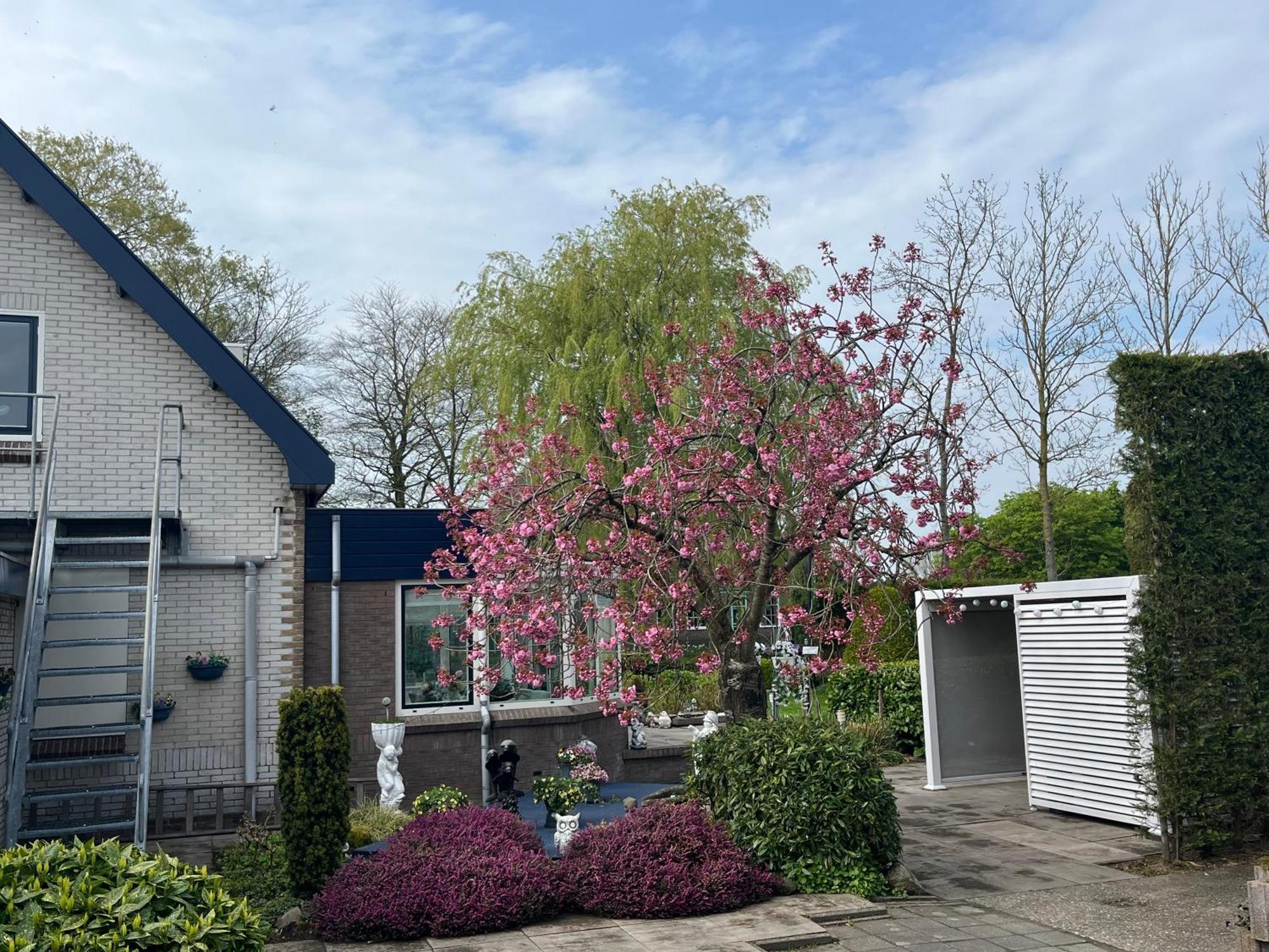 B&B Dol - Fijn Benningbroek 外观 照片